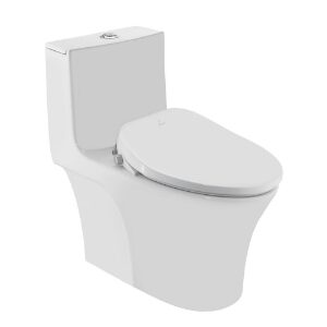Bidspa Rimless Single Piece WC