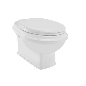 Rimless Wall Hung WC
